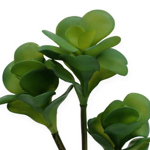 kohteita Keinotekoiset kasvit autiokaali vihreä 25cm 3kpl
