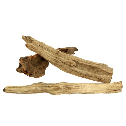 Floristik24 Puujuuret luonnonmukaiset 500g