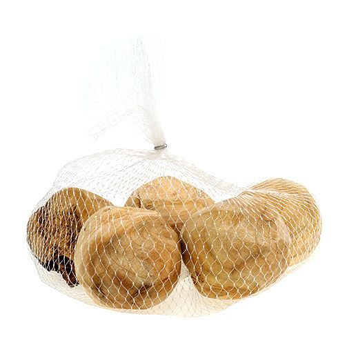 Floristik24 Juurikuusi Ø7cm luonnollinen 5 kpl