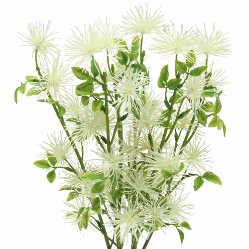 Floristik24 Xanthium silkkikukka valkoinen 53cm 6kpl