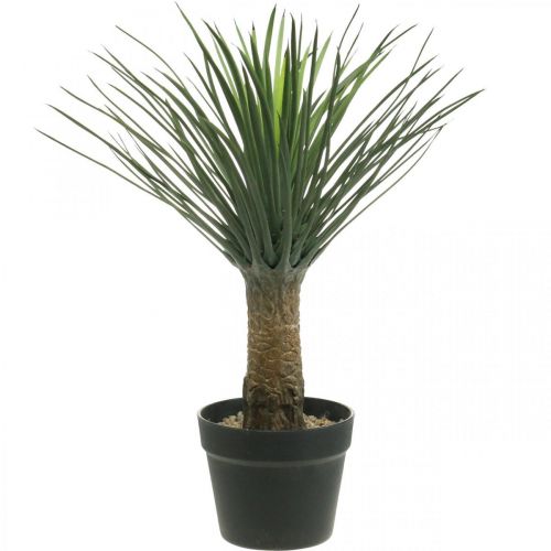 Floristik24 Keinotekoinen yucca palm ruukussa Keinotekoinen palmu ruukkukasvi H52cm