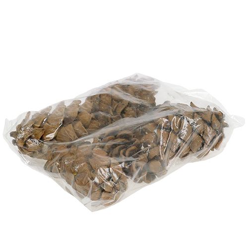 Floristik24 Kartio luonto 9cm - 10cm 6 kpl