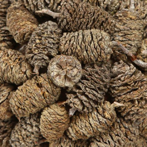 kohteita Kartiopallo leppäkäpyjen ripustamiseen, valkoinen, pesty, 12 cm