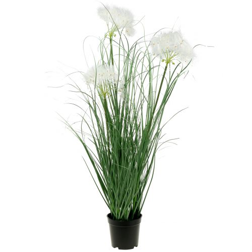 Floristik24 Koristeellinen ruoho valkoisilla siemenillä vihreä H73cm