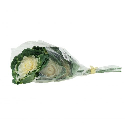 Floristik24 Keinotekoinen kaali valkoinen, vihreä 25cm 6kpl