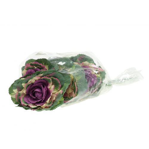 Floristik24 Keinotekoinen kaali violetti, vihreä 25cm 6kpl