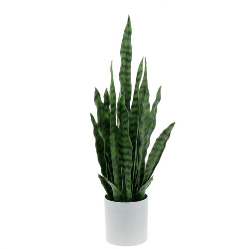 Floristik24 Sansevieria keinotekoinen ruukussa H62cm