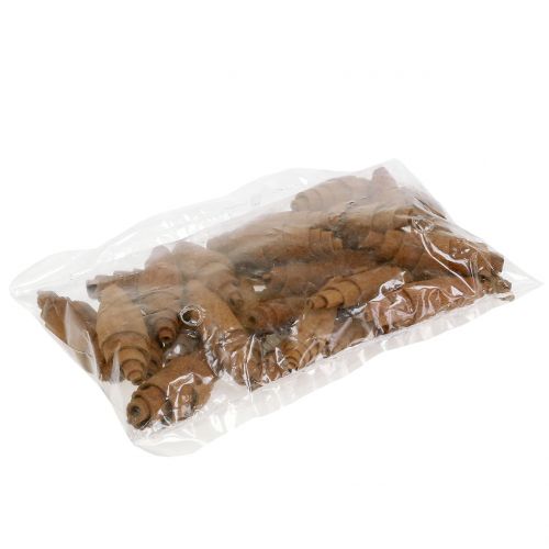 Floristik24 Kanelicroissanttikoristeet 6,5cm - 7cm 30 kpl