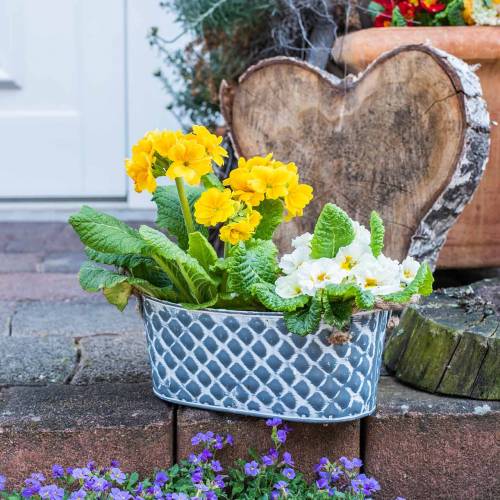 Floristik24 Sinkkikulho timantti köysikahvoilla soikea 32cm K15cm