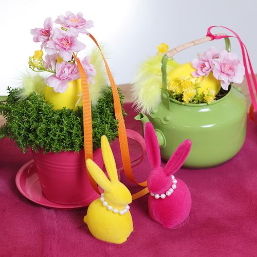 kohteita Istutuskuppi lautasella luoviin puutarhoihin, 11 cm, 6 kpl