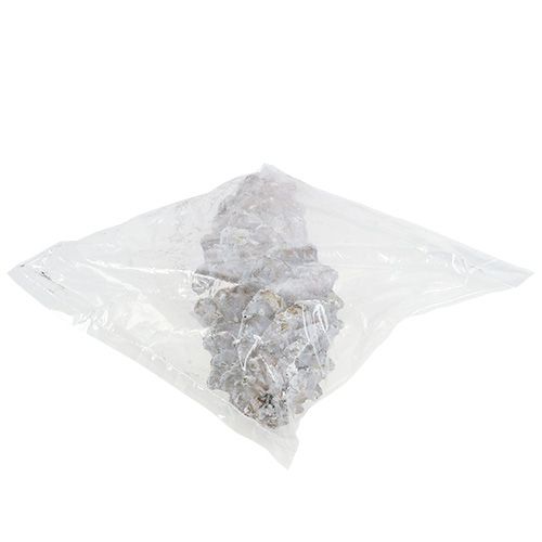 Floristik24 Sokerimäntykäpyjä, kalkittu 20cm - 30cm