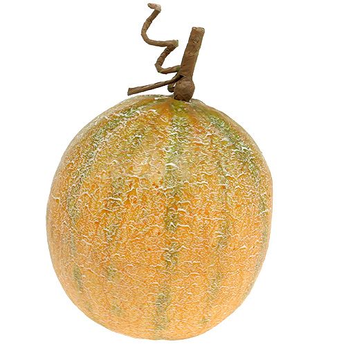 Koristeellinen melonin kantaluppi Ø14cm