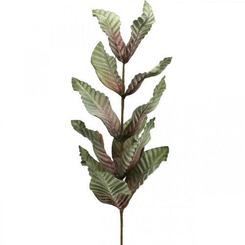 kohteita Keinotekoinen kasvi deco-oksa vihreä punaruskea vaahto H68cm