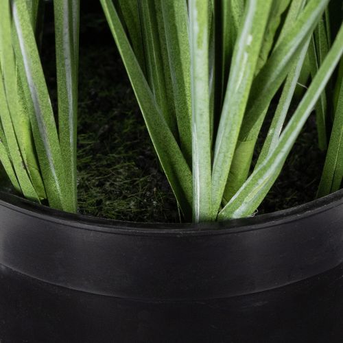 kohteita Koristeellista viherkasvia herkillä kukilla tyylikkääseen huonesuunnitteluun 67 cm