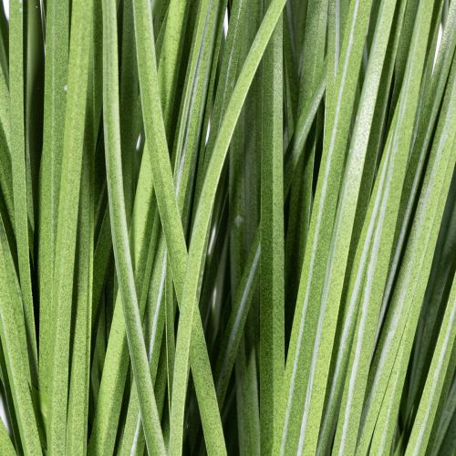 kohteita Koristeellista viherkasvia herkillä kukilla tyylikkääseen huonesuunnitteluun 67 cm