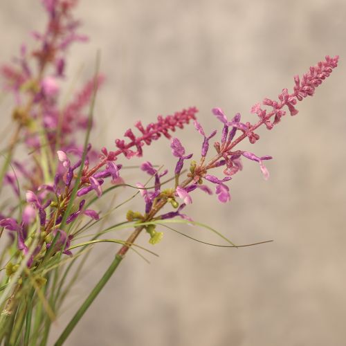 kohteita Koristeellista viherkasvia herkillä kukilla tyylikkääseen huonesuunnitteluun 67 cm