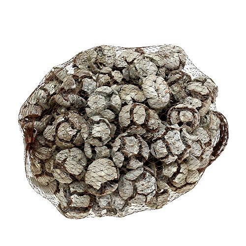 kohteita Sypressikäpyjä 3cm valkoinen pesty 500g