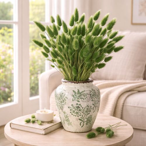 kohteita Kuivattu Lagurus (jäniksenhäntäheinä) 65-70 cm 100 g