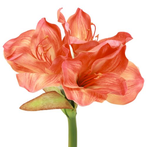 kohteita Amaryllis koristekukat oranssia keinotekoista L55cm 2kpl