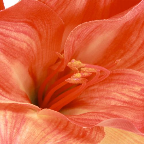 kohteita Amaryllis koristekukat oranssia keinotekoista L55cm 2kpl