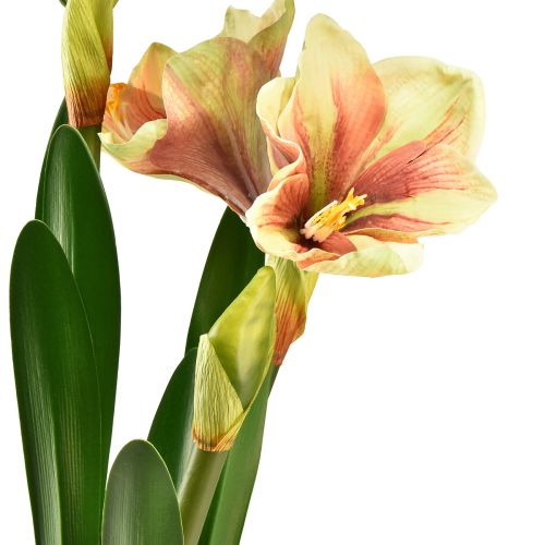 kohteita Amaryllis sammalpallossa keinotekoinen pinkki-keltakuvioinen kukka - 45 cm - Eksoottinen ja tyylikäs sisustus