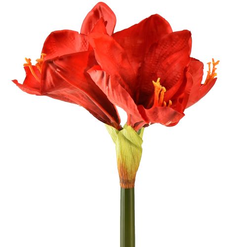 kohteita Keinotekoinen amaryllis kirkkaan punaisena - tyylikkäät kukat ylelliseen huoneen sisustukseen, 66 cm