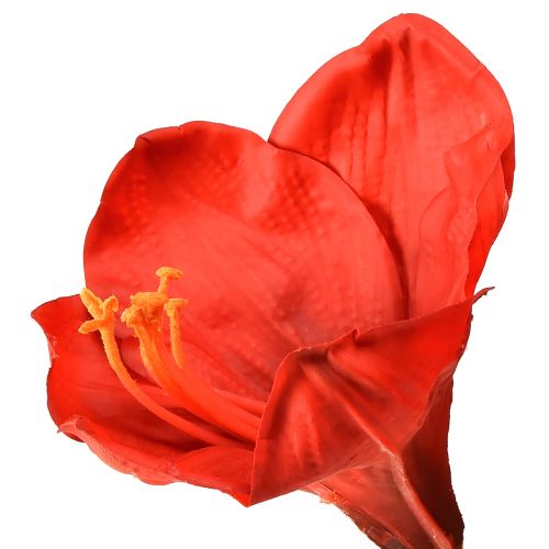kohteita Keinotekoinen amaryllis kirkkaan punaisena - tyylikkäät kukat ylelliseen huoneen sisustukseen, 66 cm