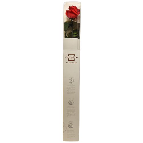 kohteita Infinity Rose säilötyt lehdet Amorosa Red L54cm