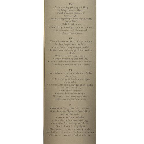 kohteita Infinity Rose säilötyt lehdet Amorosa Red L54cm