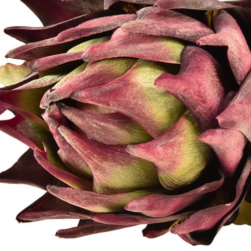 kohteita Keinotekoinen artisokka Suuri tekokukka Kuiva look Violetti 76cm