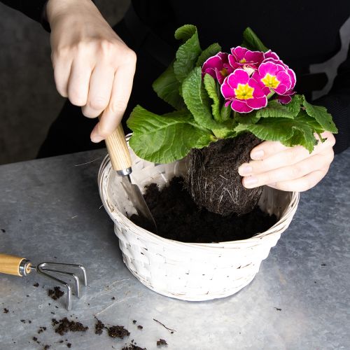 kohteita Punottu korikoriste monipuoliseen sisustukseen, 20 cm, 8 kpl