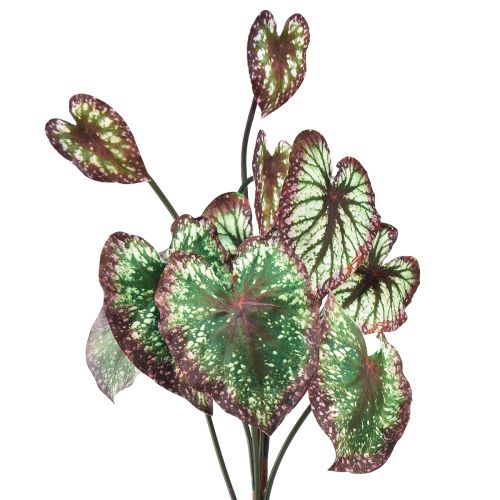 kohteita Begonia Keinotekoiset kasvit Lehti Begoniat Vihreä Purppura 62cm