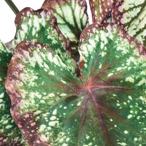 kohteita Begonia Keinotekoiset kasvit Lehti Begoniat Vihreä Purppura 62cm