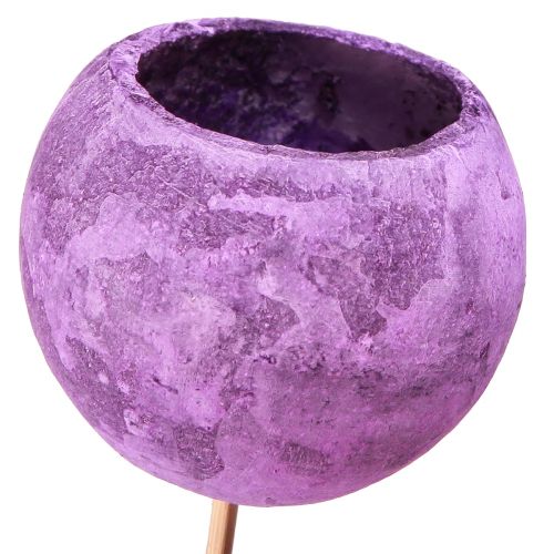 Floristik24 Kellokuppi kepissä Eksoottinen kuivakoristelu Purple Berry 44cm 15 kpl