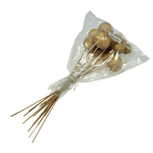 kohteita Bell Cup Mix sauvassa Natural Exotics 15 kpl