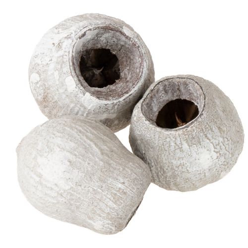 kohteita Bellgums valkoiseksi kalkittu 2cm - 5cm 500g