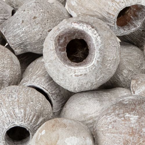 kohteita Bellgums valkoiseksi kalkittu 2cm - 5cm 500g