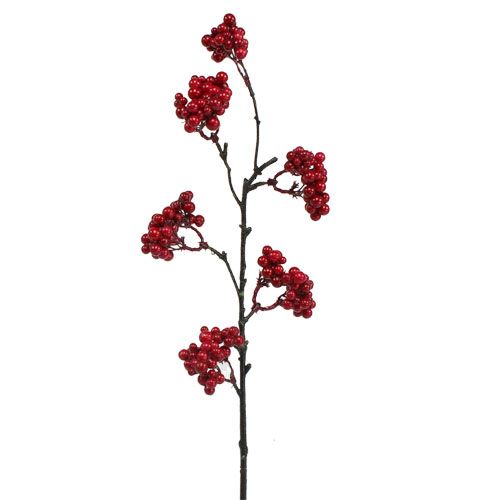 Floristik24 Marjan oksa punainen 50cm 4kpl