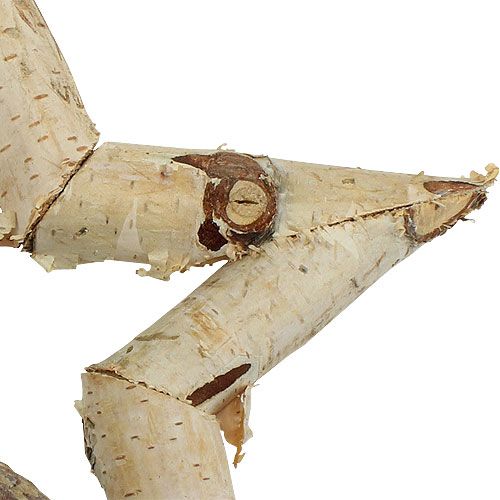 Floristik24 Koivutähti ripustettavaksi 22cm