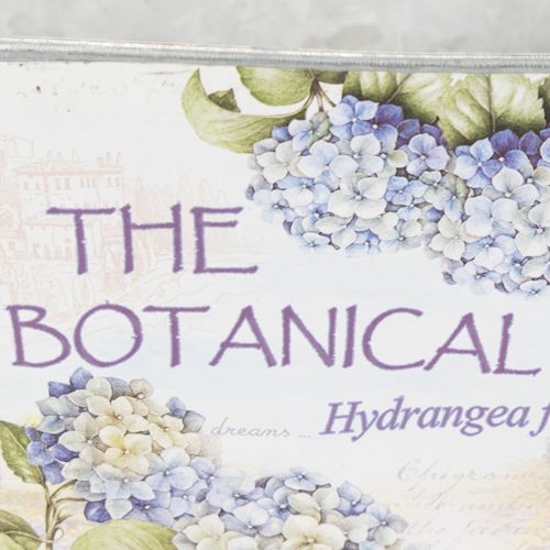 kohteita Soikea metallinen kukkakulho kahvoilla, hortensioille, 32 × 15 × 15 cm