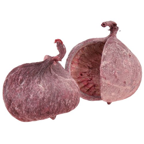 Floristik24 Buddha-pähkinä punainen valkoinen kuivattu luonnonkoristelu Ø5,5–9,5cm 5 kpl