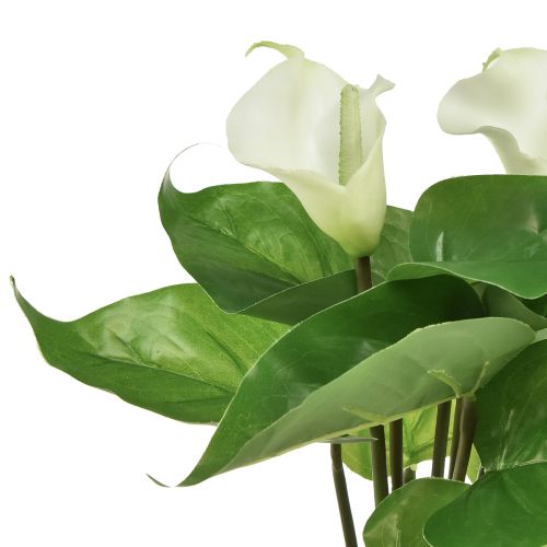 kohteita Calla Lily Kalla tekokukat Valkoiset eksoottiset kukat 34cm