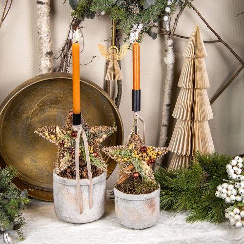 kohteita Joulukuusikoristeet, Adventtikoristeet, tähtiriipukset kultaiset L15cm 8 kpl