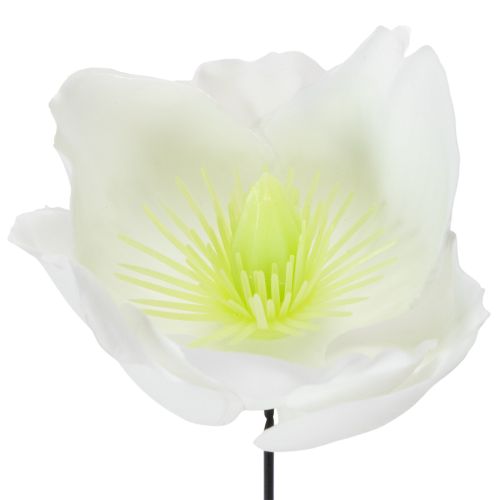 kohteita Jouluruusu langassa, valkoinen, 50 kpl