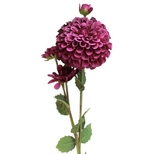 Floristik24 Dahlia tekokukat violetilla kukilla Ø10cm L80cm 2kpl