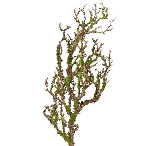 kohteita Koristeoksa sammalkeinotekoisella syksykoristeella harmaa vihreä L78cm