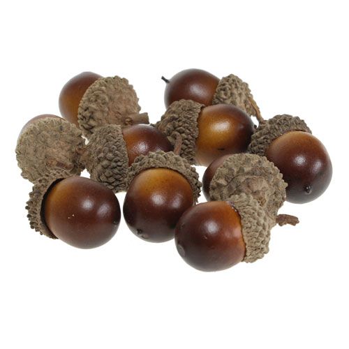 Floristik24 Koristeelliset tammenterhot 3cm 36kpl