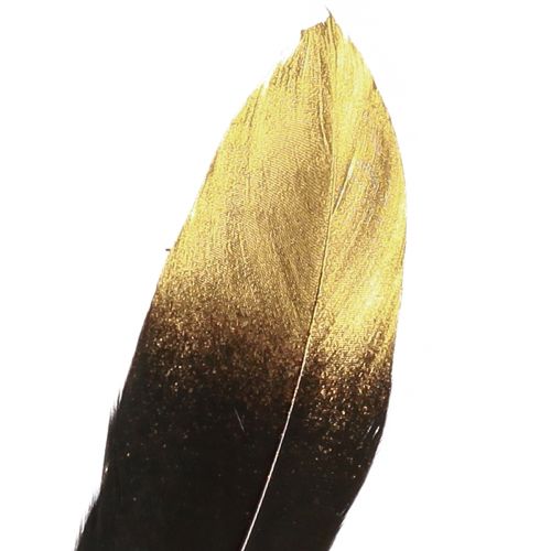 kohteita Koristehöyhenet mustakultaiset aidot hanhen höyhenet 15-20cm 50kpl