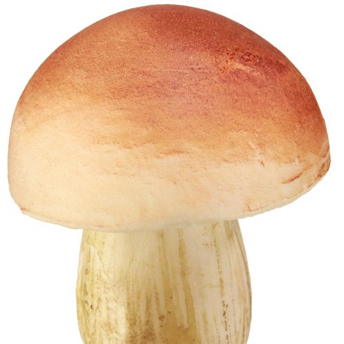 kohteita Koristesieniä tikkuissa pieniä ja suuria ruskeita H10/11,5cm 8 kpl