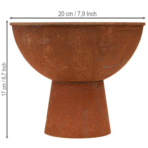 kohteita Koristeellinen kulho jalalla, pikarikulho, ruosteenvärinen metalli, Ø20,5 cm, 2 kpl